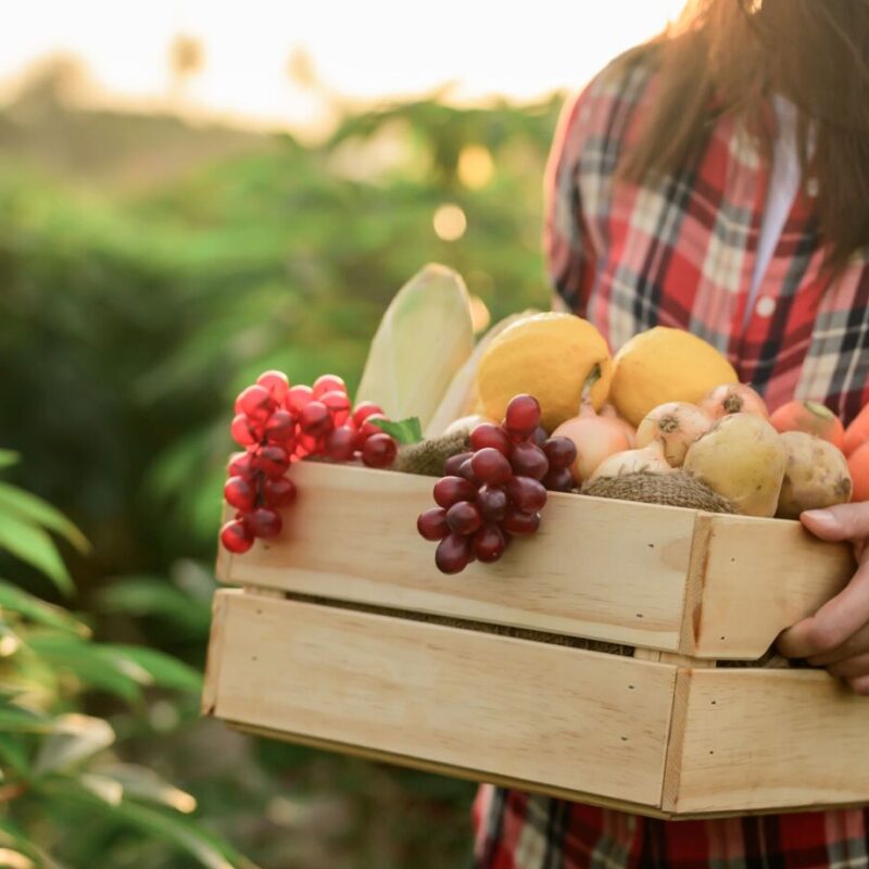 ADOBESTOCK_373094143 800X800 | Earl Oberhardt Livraison de fruits et légumes à proximité de Colmar et Guebwiller dans le Haut-Rhin Wittenheim