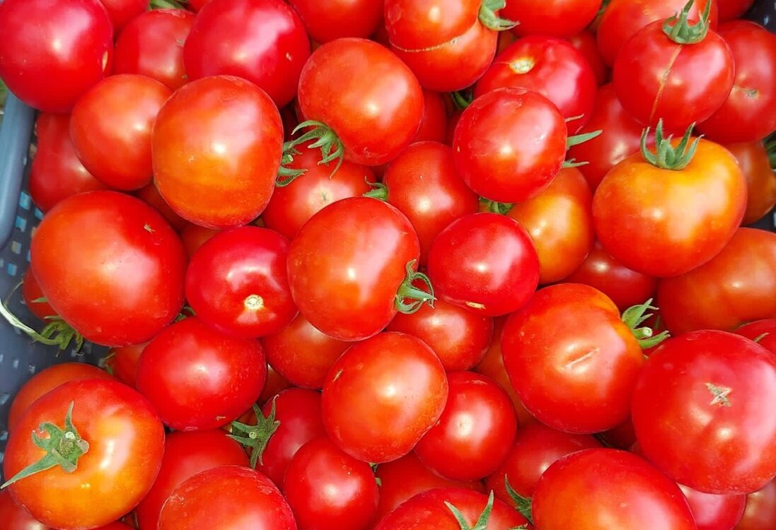 Nos l&eacute;gumes Pfastatt