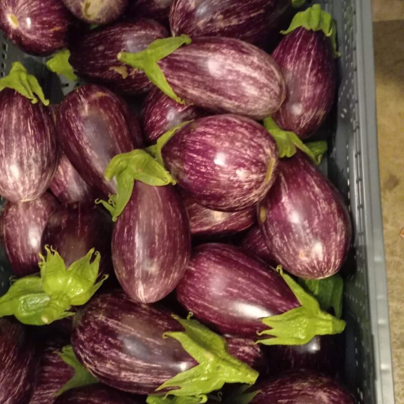 Nos l&eacute;gumes Thann 7