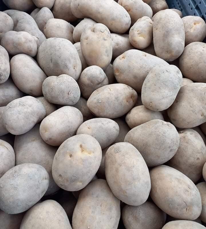 Nos l&eacute;gumes Wittelsheim 2