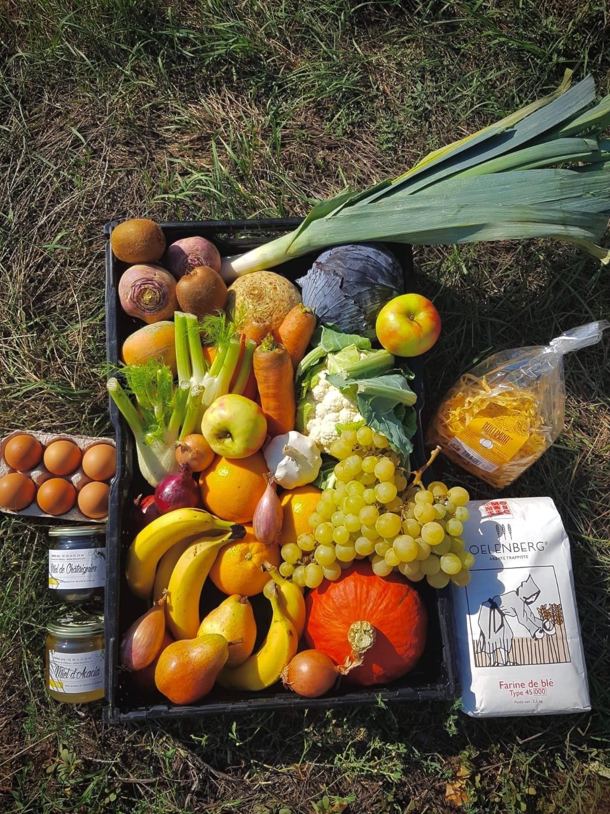 IMG_1818 | Earl Oberhardt Tournées de livraison de fruits et légumes dans le Haut-Rhin Cernay 2